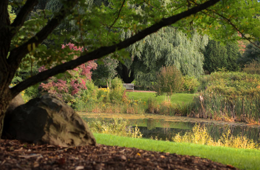 F. R. Newman Arboretum, United States